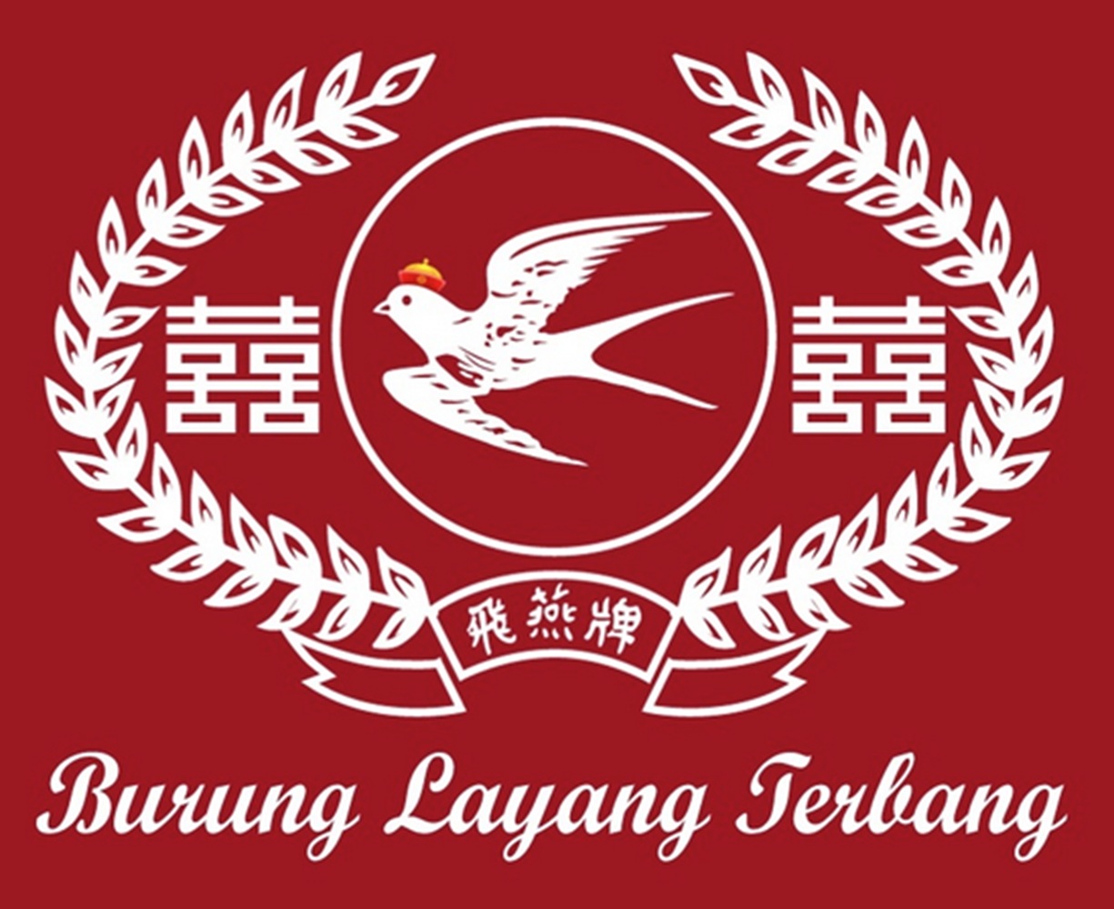 Burung Layang Terbang