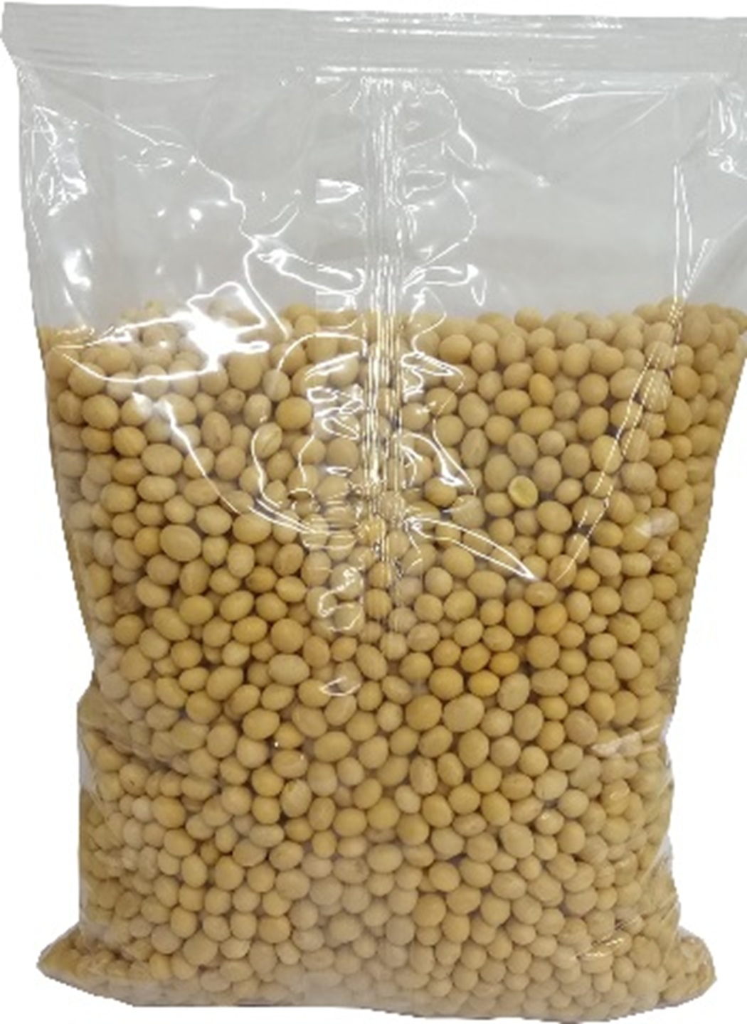 Kacang Kedelai
